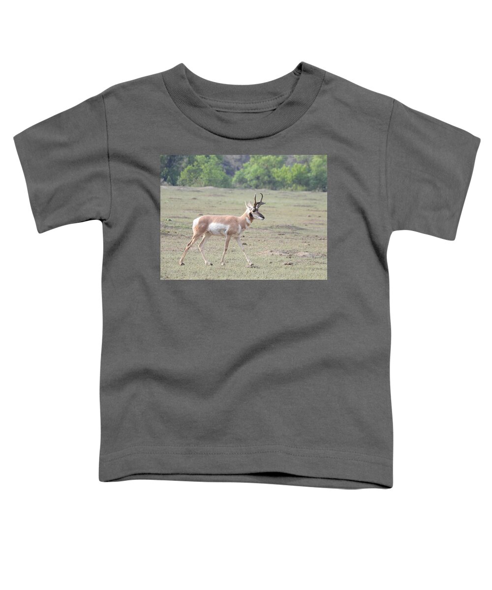 Antelope Toddler T-Shirt featuring the photograph Strolling Antelope by Amanda R Wright