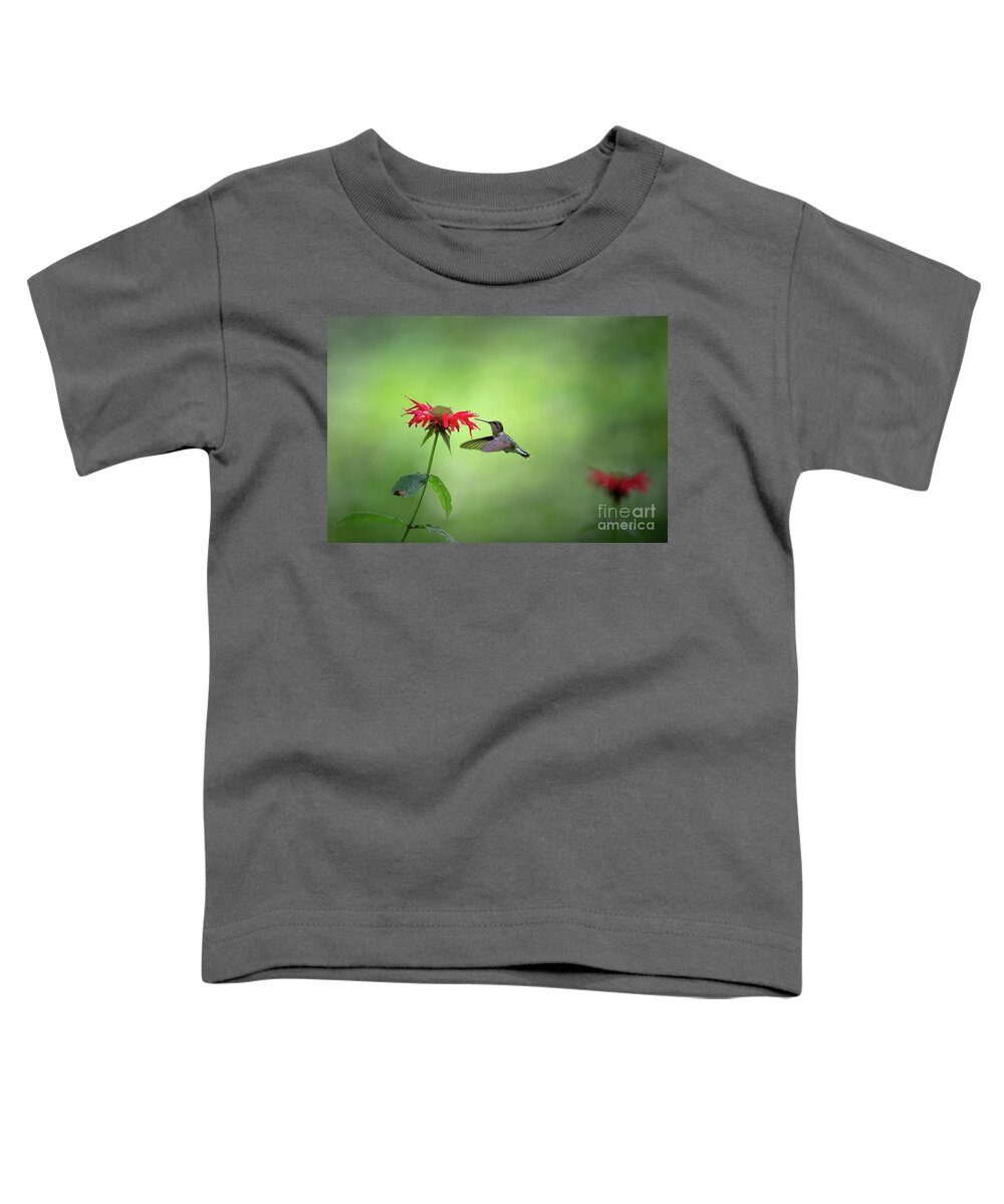 Ruby Throated Hummingbird Toddler T-Shirt featuring the photograph Summer Garden Stills - Ruby Throated Hummingbird by Rehna George
