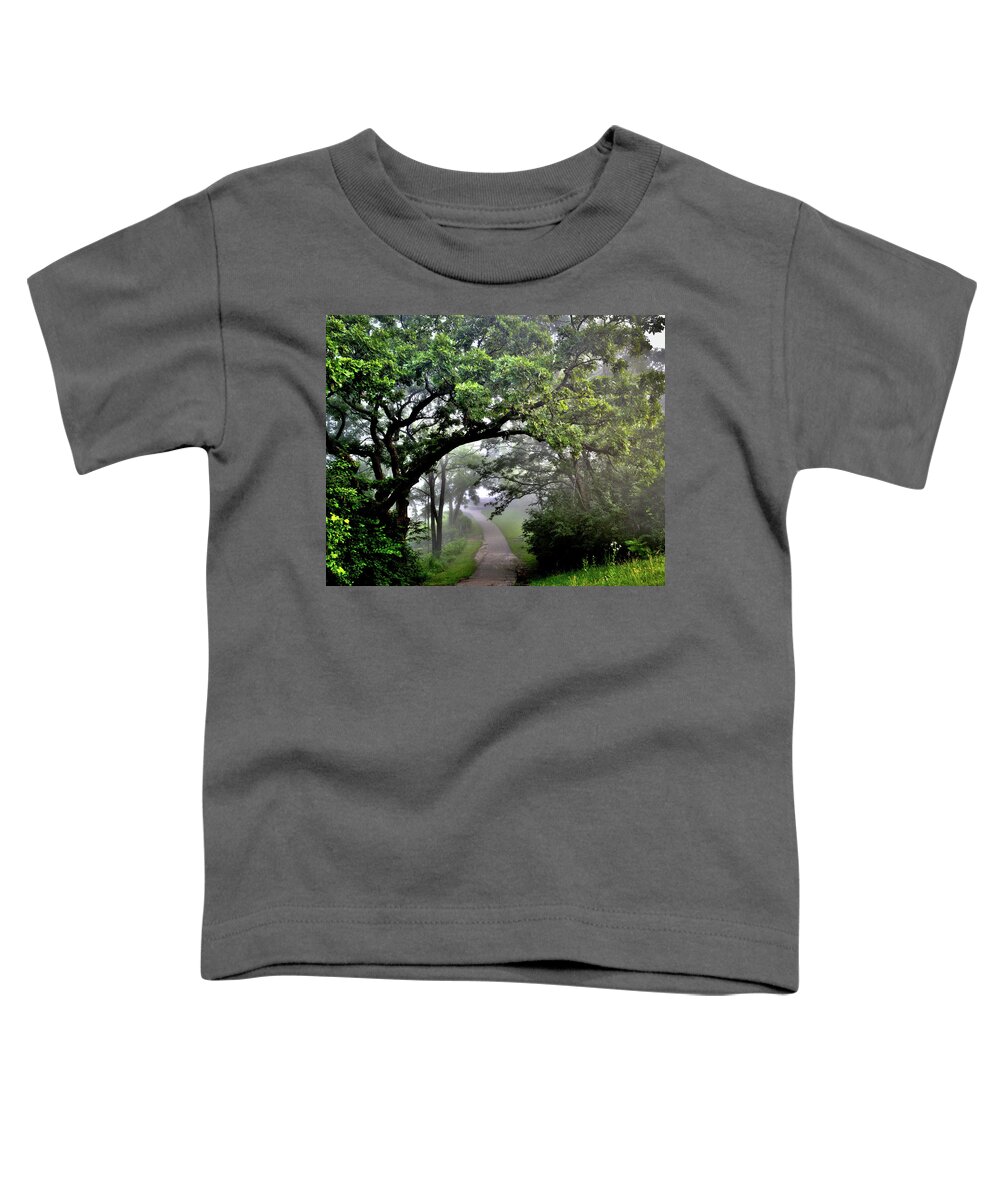 Fog Toddler T-Shirt featuring the photograph Summer Path by Susie Loechler