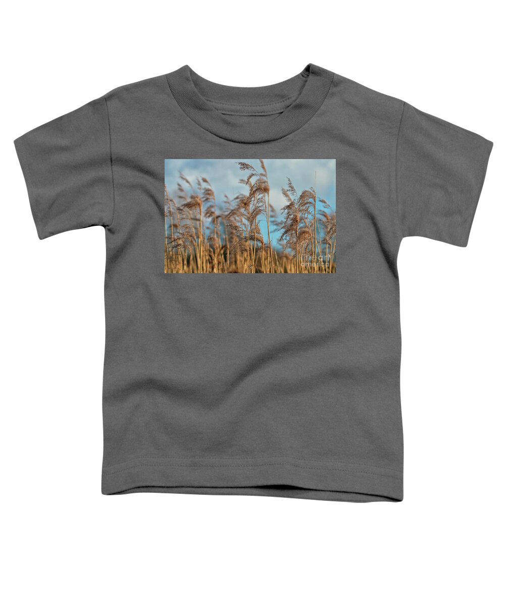 Nature Toddler T-Shirt featuring the photograph Summer Pond Grasses by Baggieoldboy