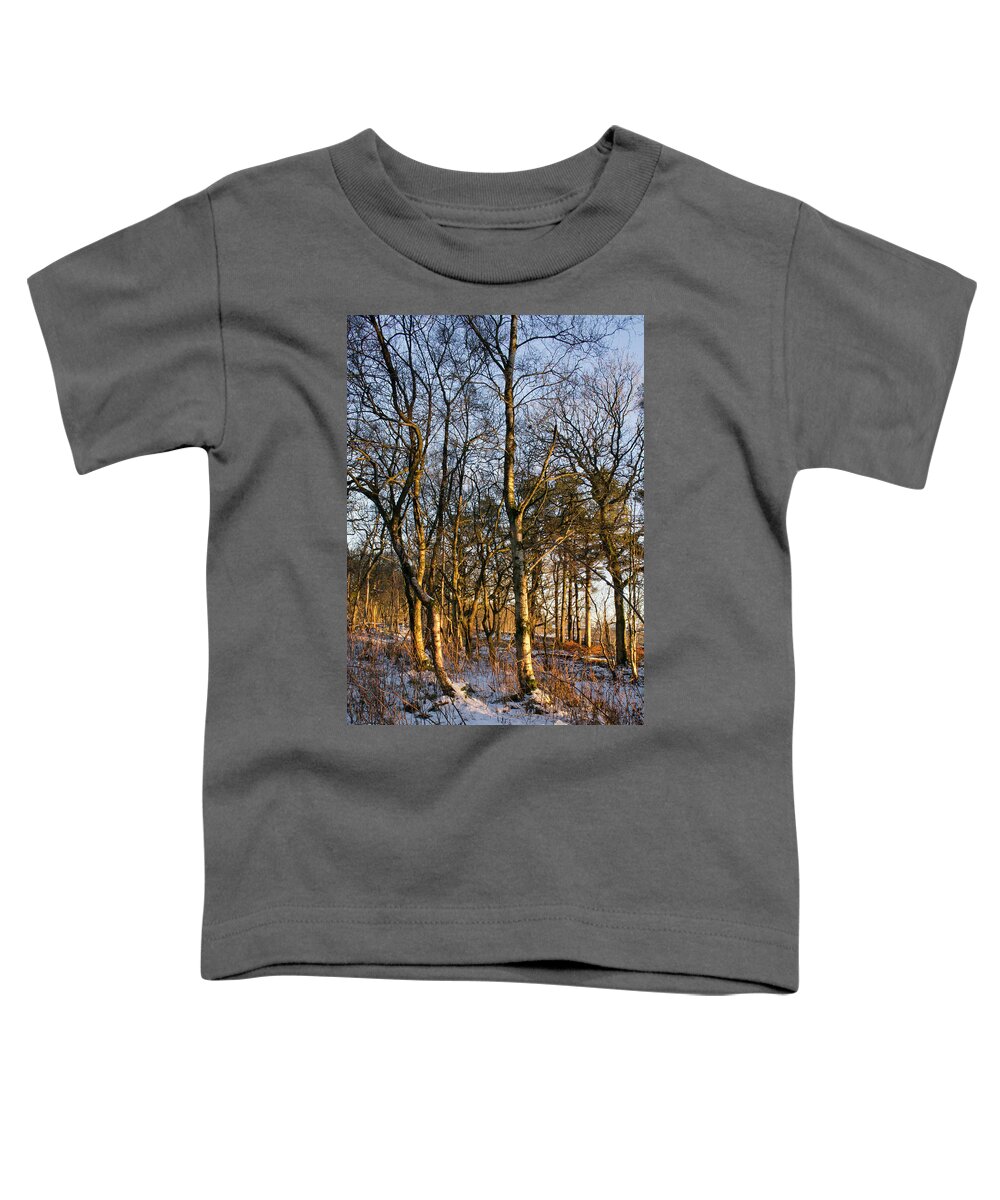 Sun Toddler T-Shirt featuring the photograph Sun of New Year Day by Elena Perelman