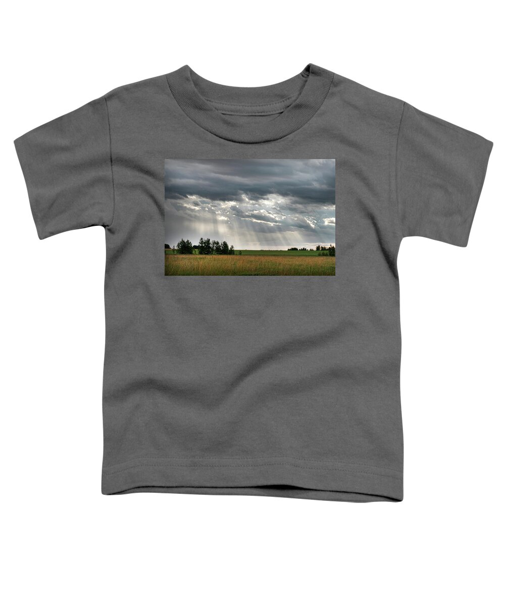 Sun Toddler T-Shirt featuring the photograph Sun rays over a field by Karen Rispin