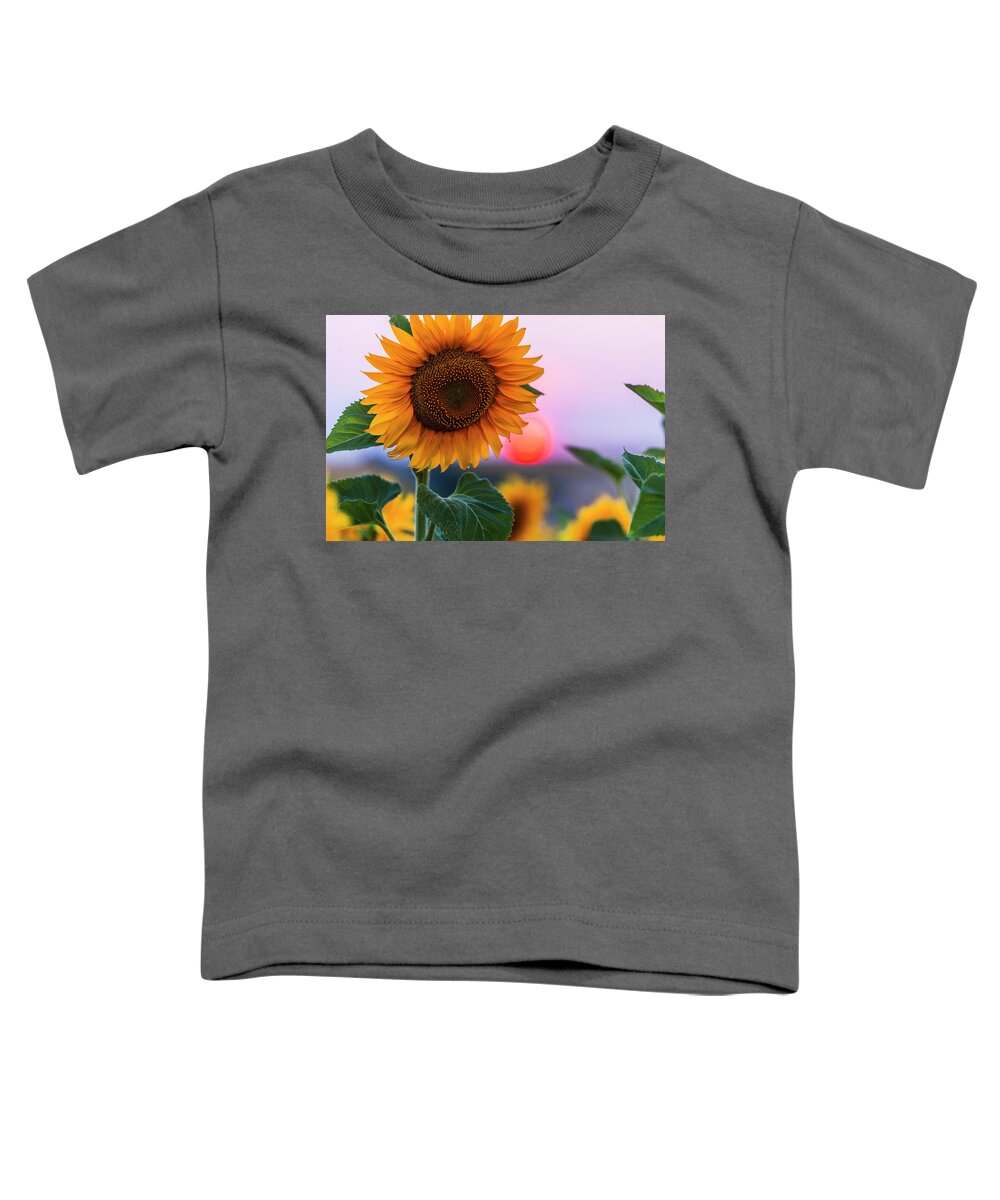 Bulgaria Toddler T-Shirt featuring the photograph Sunflower by Evgeni Dinev