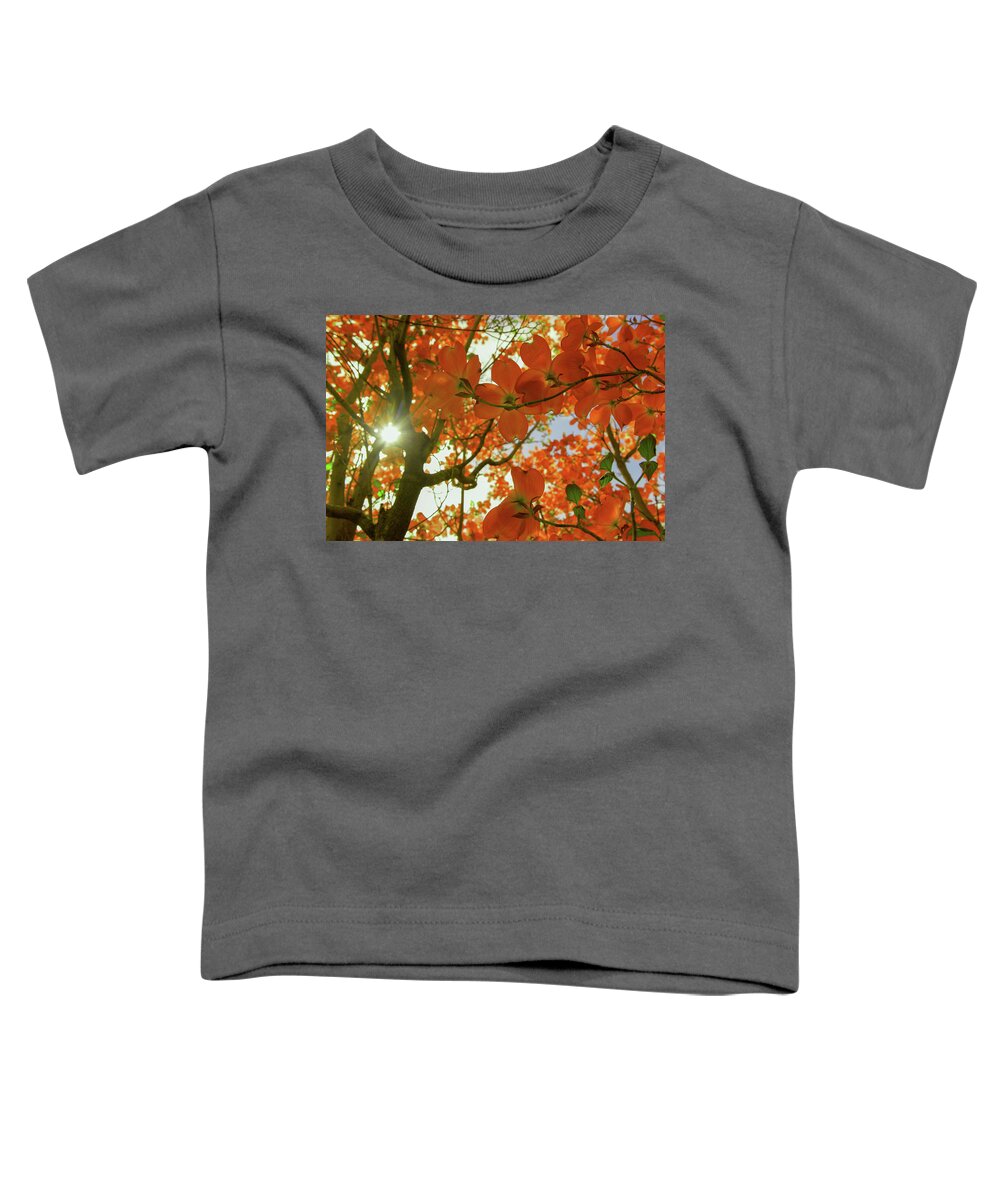 Sun Light Toddler T-Shirt featuring the photograph Sunlight through flowers and leaves by Jeff Swan