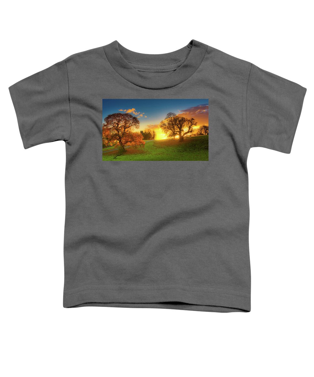 England Toddler T-Shirt featuring the digital art Sunrise by Remigiusz MARCZAK