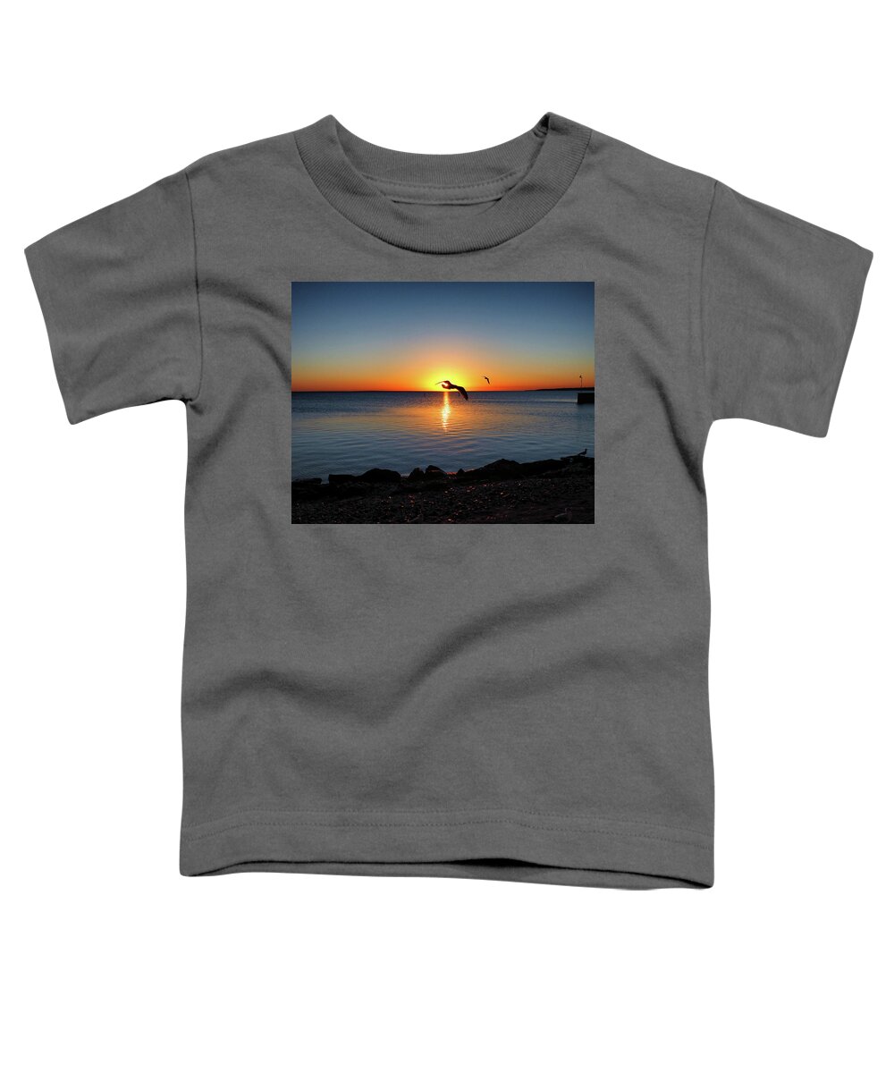 Sunrise Toddler T-Shirt featuring the photograph Sunrise Seagull Silhouette by Bill Swartwout