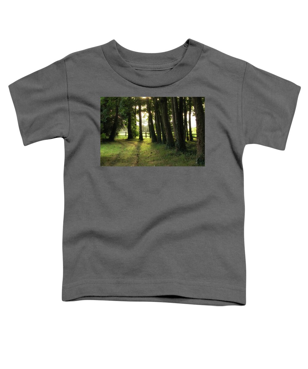 Sunrise Toddler T-Shirt featuring the photograph Sunrise Through the Trees by Lisa Chorny