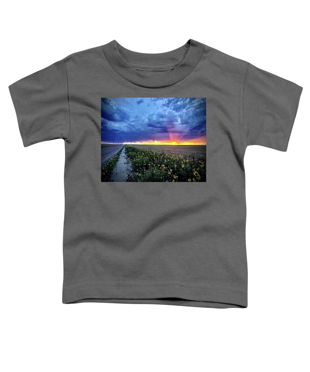 Sunset Toddler T-Shirt featuring the photograph Sunset 3 by Julie Powell