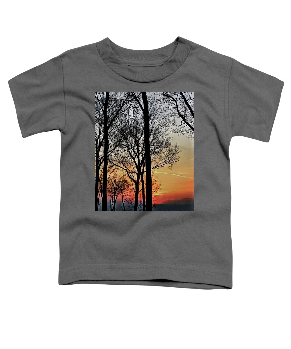 Sunset Toddler T-Shirt featuring the photograph Sunset Symphony by Tim Nyberg