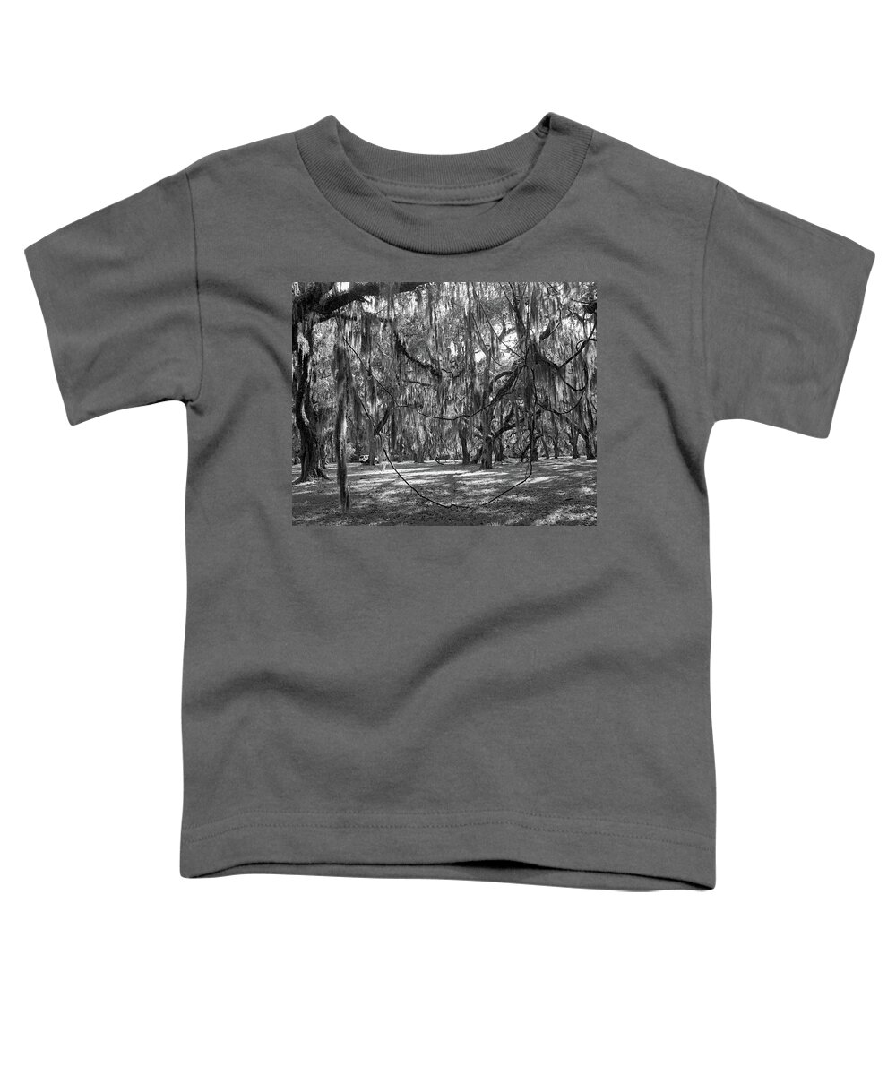 Georgia Toddler T-Shirt featuring the photograph Sunshine and Spanish Moss, St. Simons by John Simmons