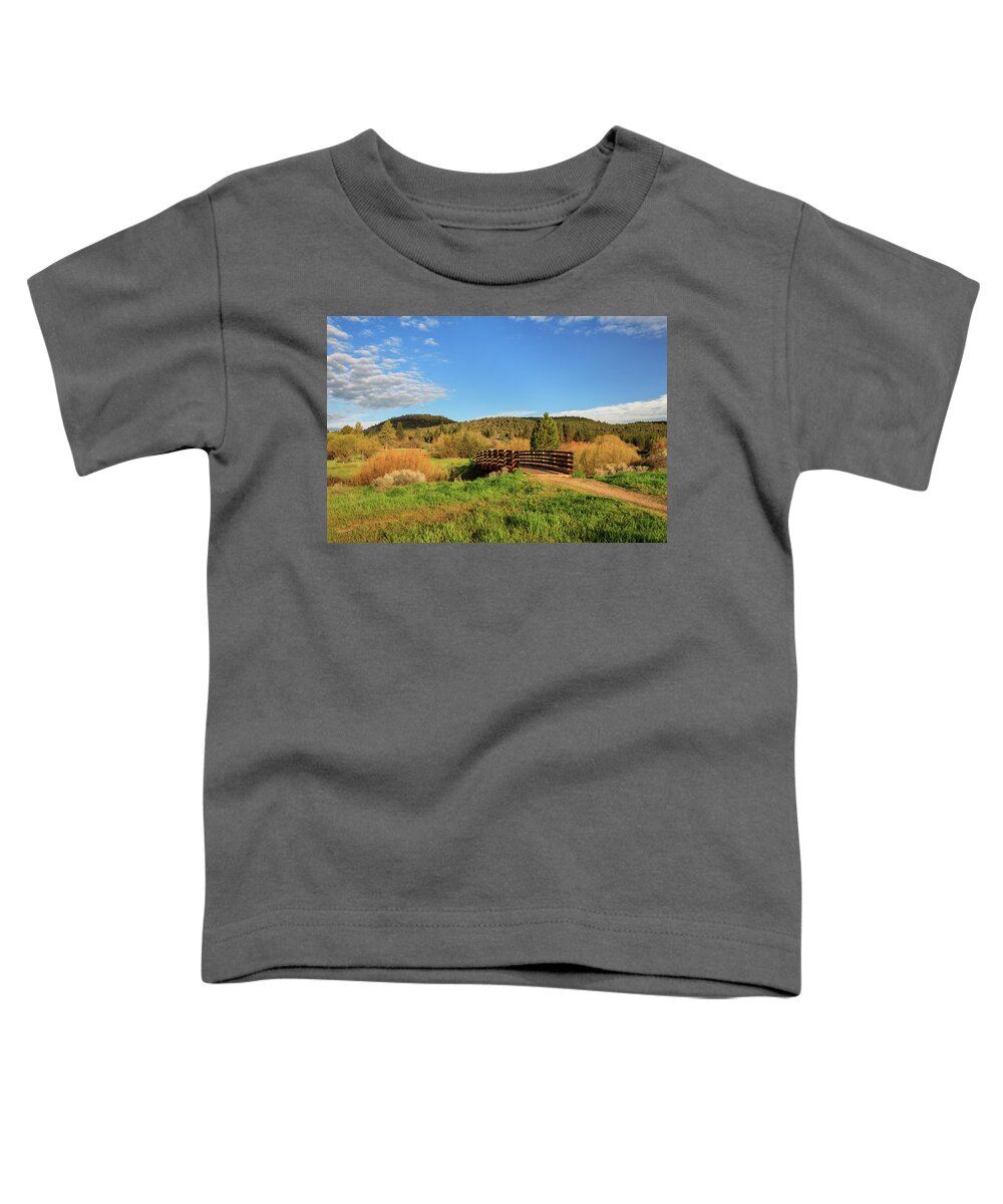 Trail Toddler T-Shirt featuring the photograph Susanville Ranch Park Bridge by James Eddy