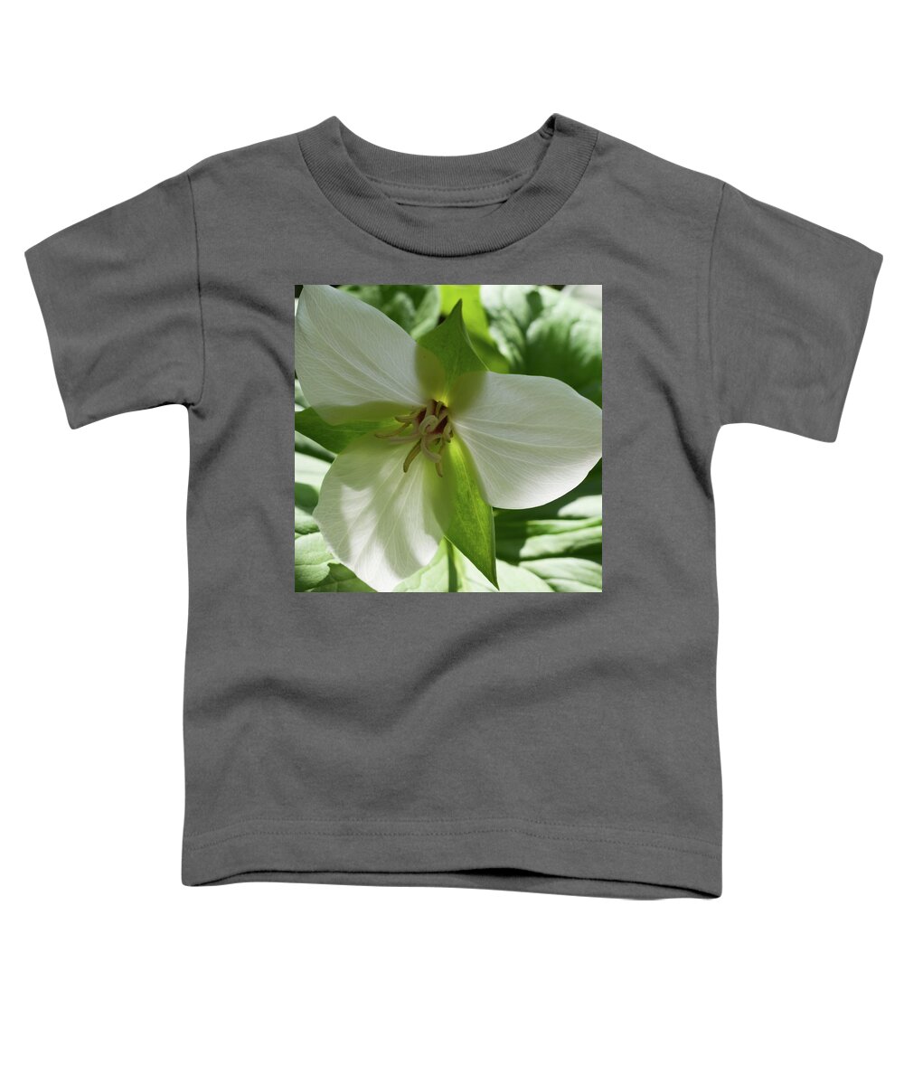 Shenk's Ferry Toddler T-Shirt featuring the photograph Susquehanna Trillium Backlit by Tana Reiff