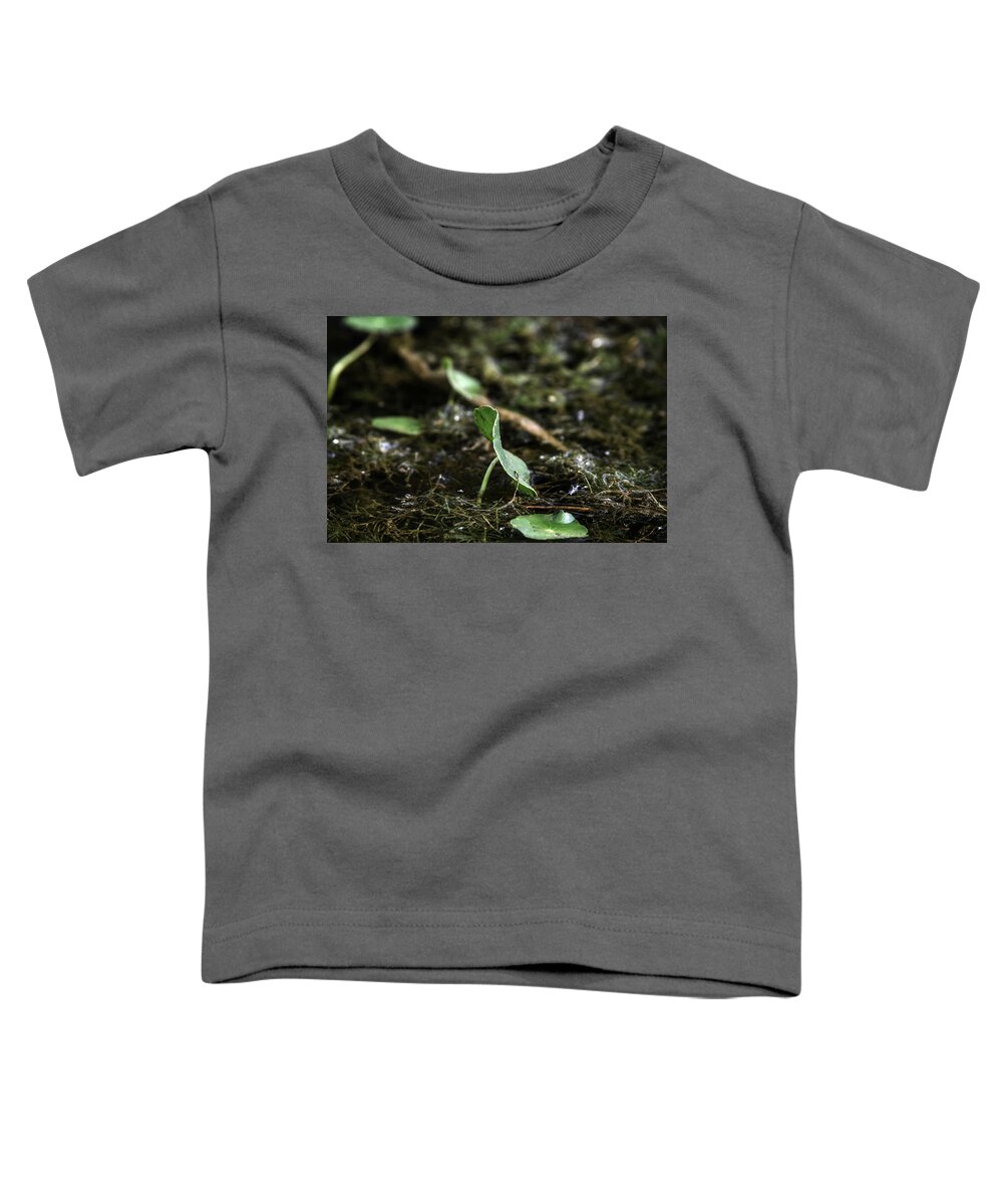 Photo Toddler T-Shirt featuring the photograph Swamp Flora by Evan Foster