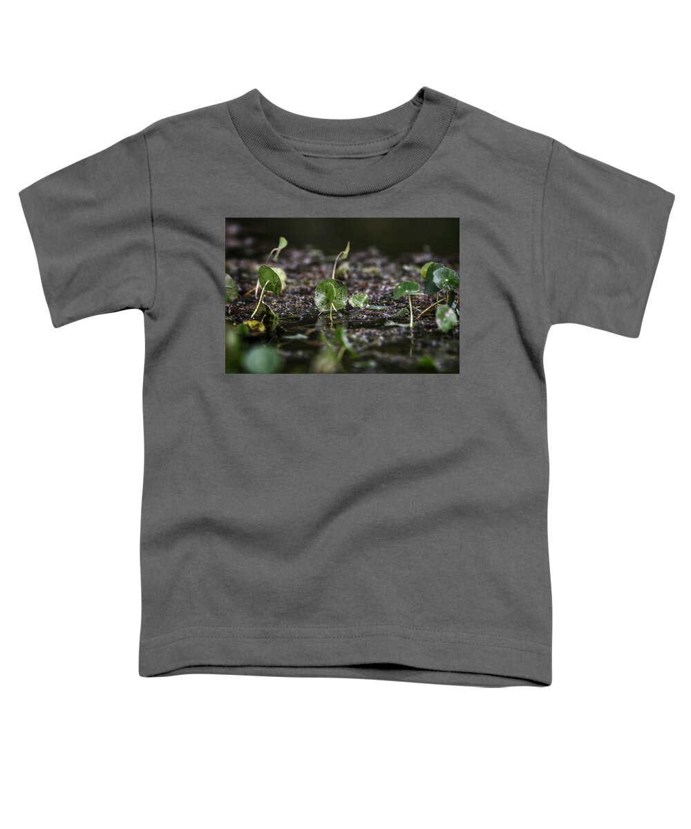 Photo Toddler T-Shirt featuring the photograph Swamp Life by Evan Foster