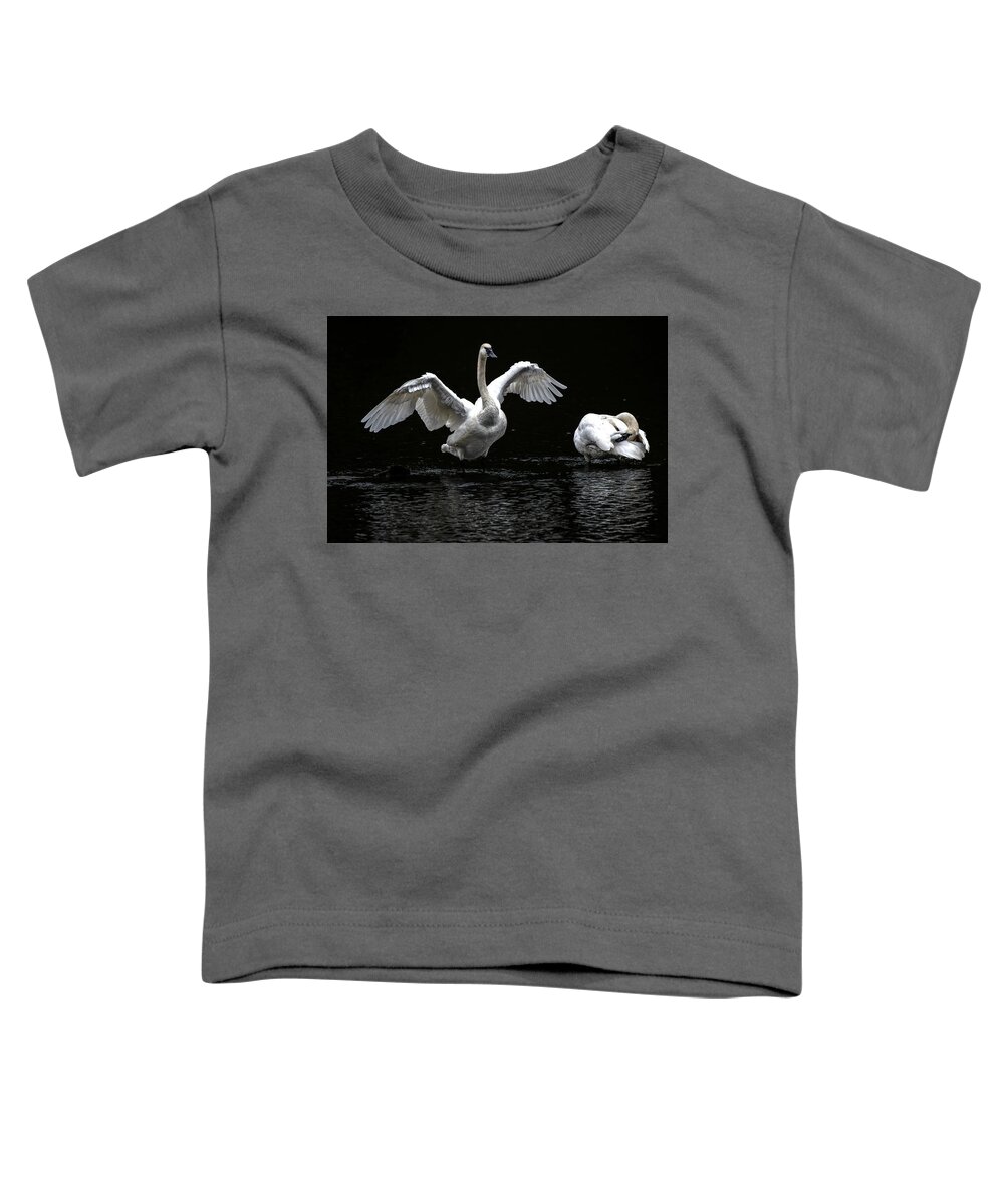Swans Toddler T-Shirt featuring the photograph Swans on the Lake by Jerry Cahill