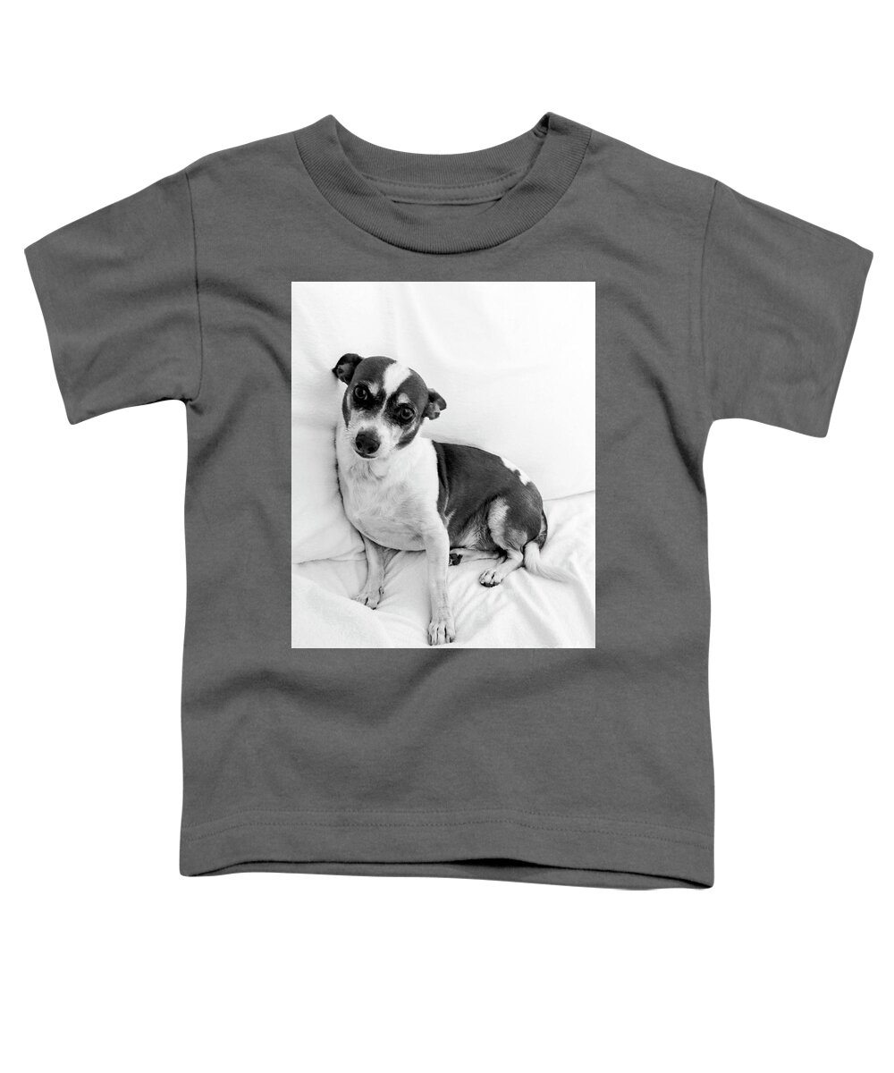 Rbbroussard Toddler T-Shirt featuring the photograph Sweet Lucky by Roselynne Broussard