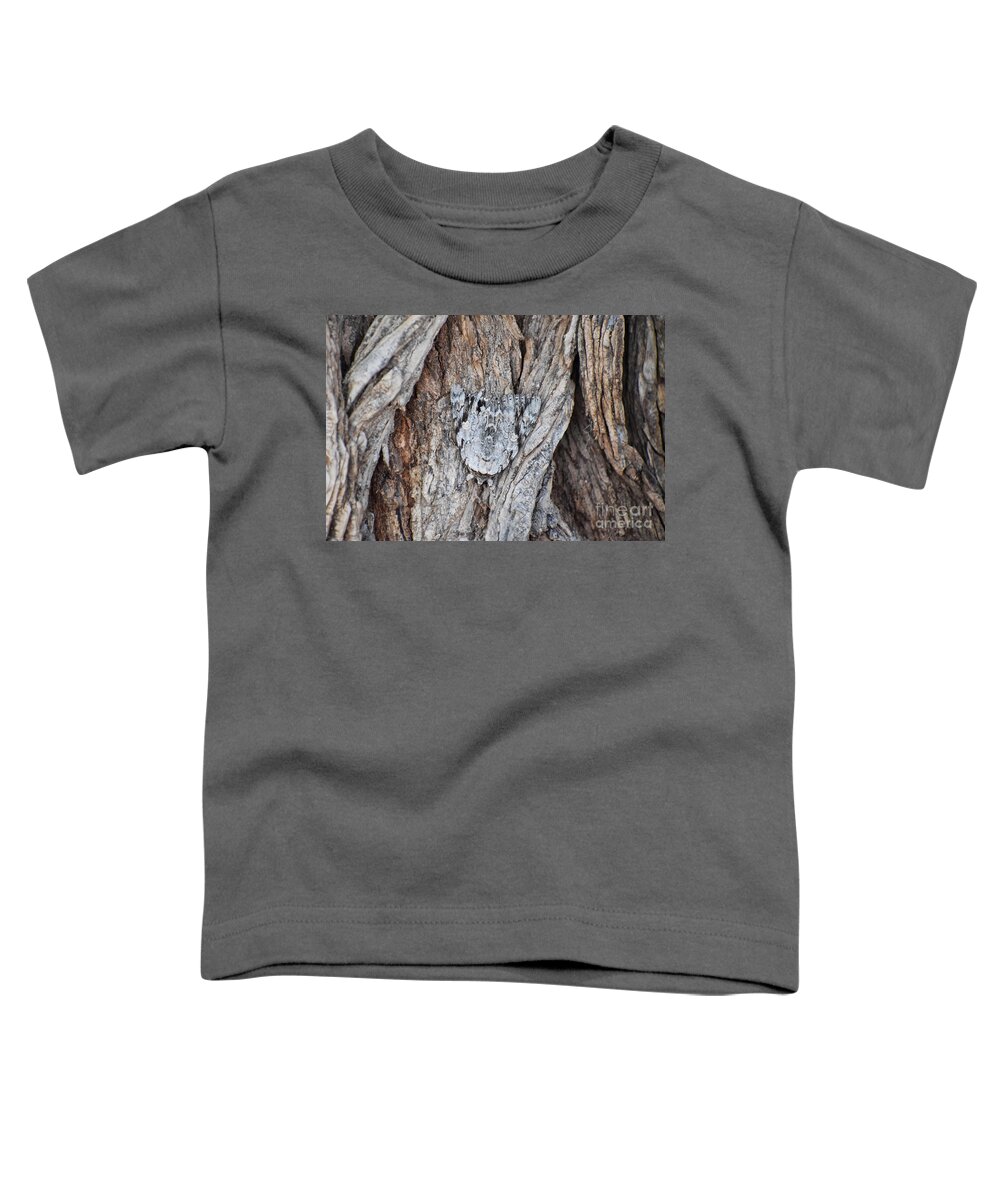 Moth Toddler T-Shirt featuring the photograph Sweetheart Underwing Moth by Anita Streich