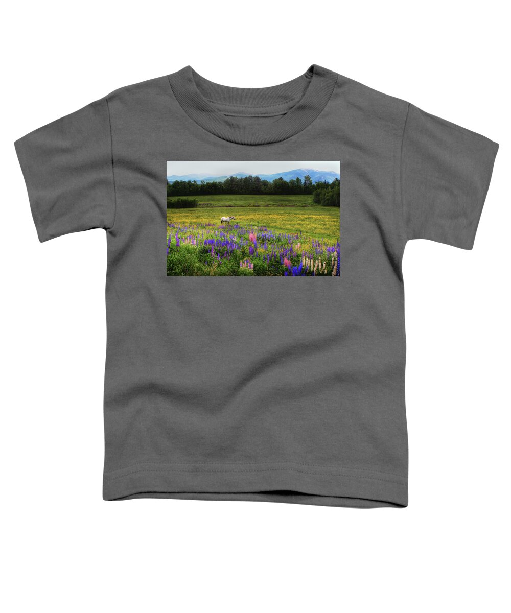 Horses Toddler T-Shirt featuring the photograph Taking in the View by Wayne King