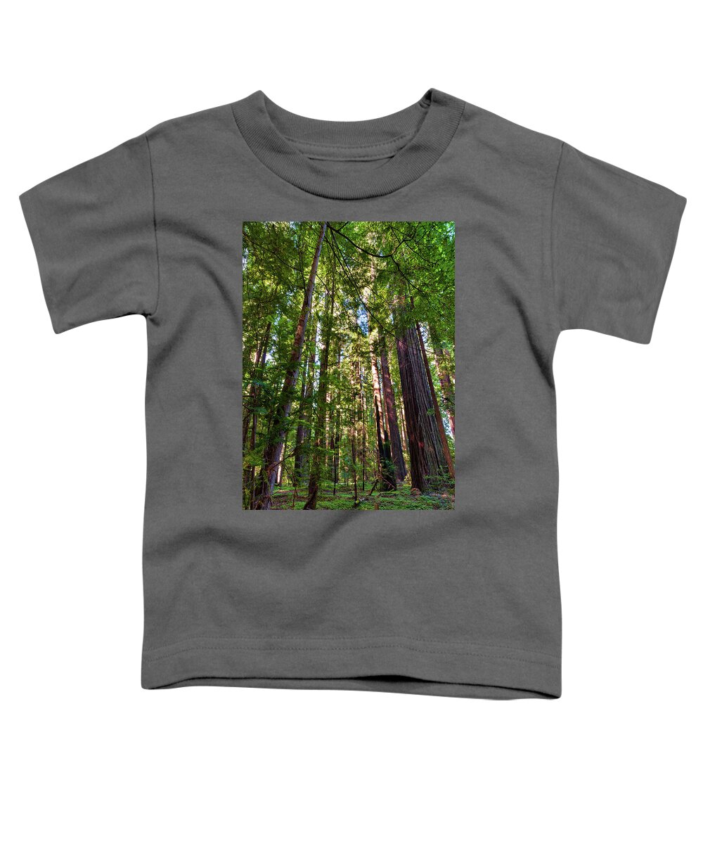 California Toddler T-Shirt featuring the photograph Tall California Redwoods 920 by Dan Carmichael