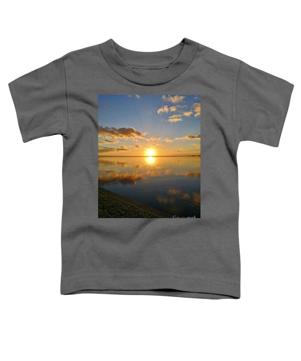 Tampa Toddler T-Shirt featuring the photograph Tampa Bay Florida Photo 174 by Lucie Dumas