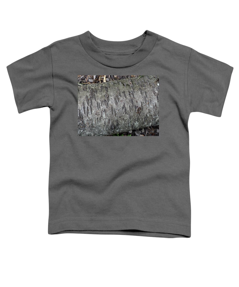 Nature Toddler T-Shirt featuring the photograph Textures and Patterns in Trees by Rebecca Dru