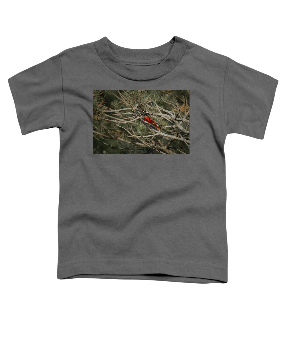 The Cardinal Toddler T-Shirt featuring the photograph The Cardinal 4 by Ernest Echols