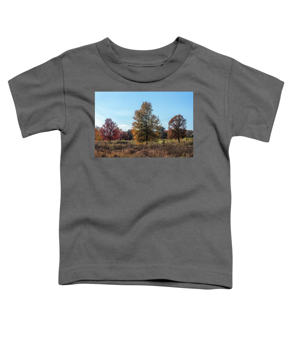 Washington D.c. Toddler T-Shirt featuring the photograph The Color Chase 05 by Robert Fawcett
