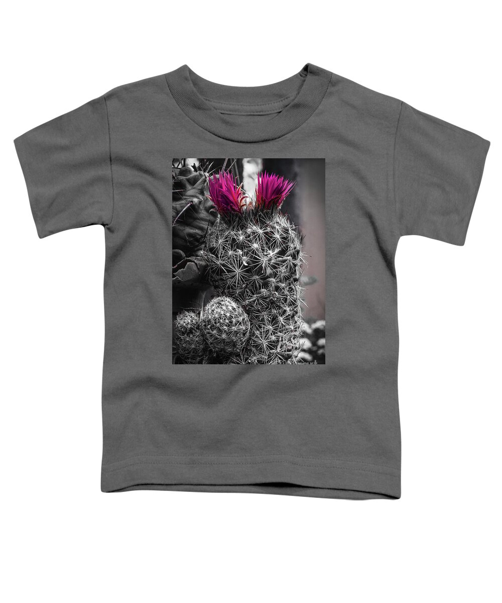 Taos Toddler T-Shirt featuring the photograph The Elegant Cactus by Elijah Rael