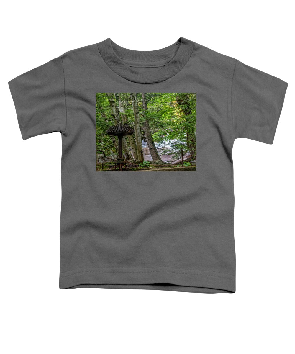 Factory Toddler T-Shirt featuring the photograph The Factory Remains by Regina Muscarella