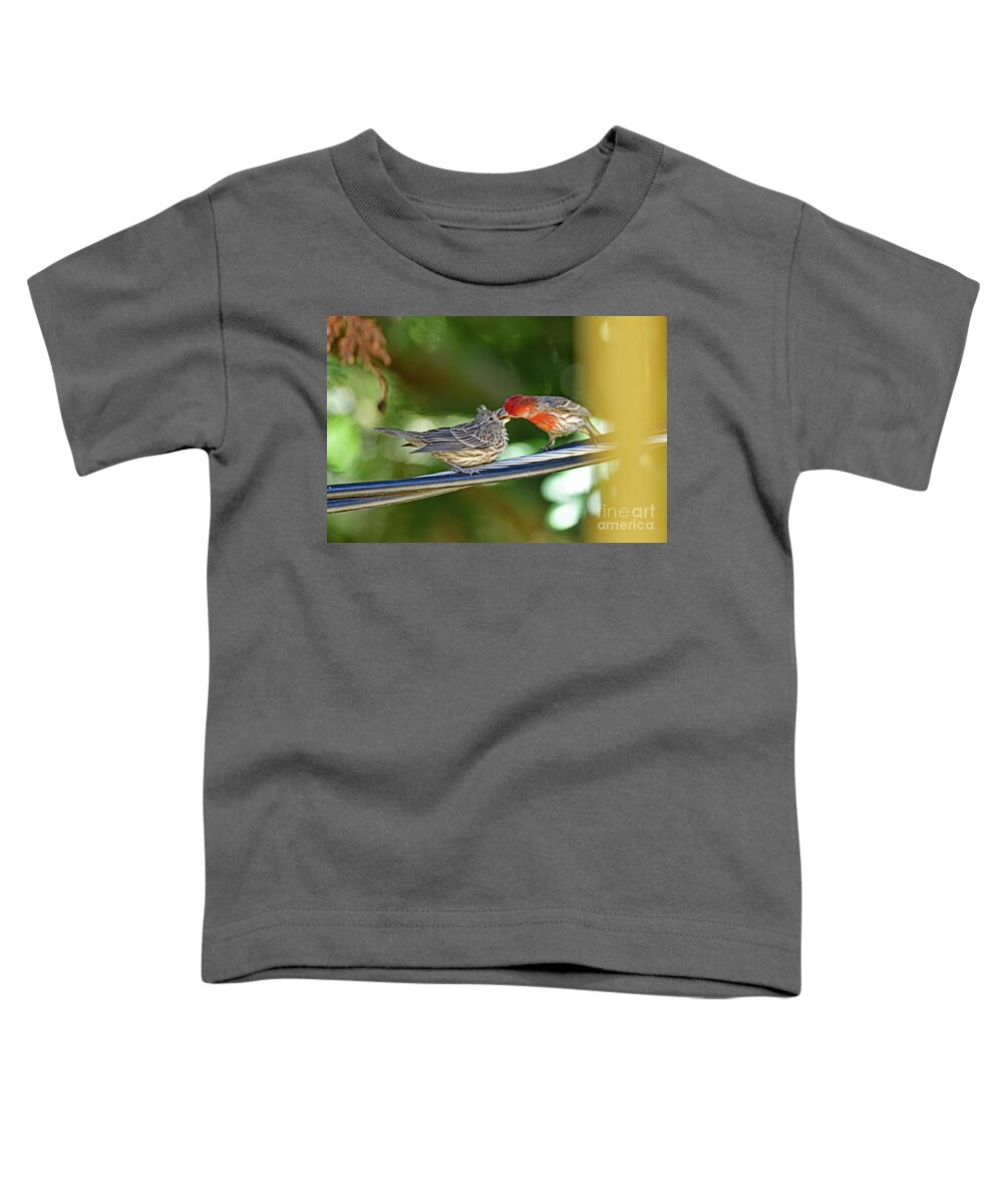 House Finch Toddler T-Shirt featuring the photograph The Finch Feeding by Amazing Action Photo Video