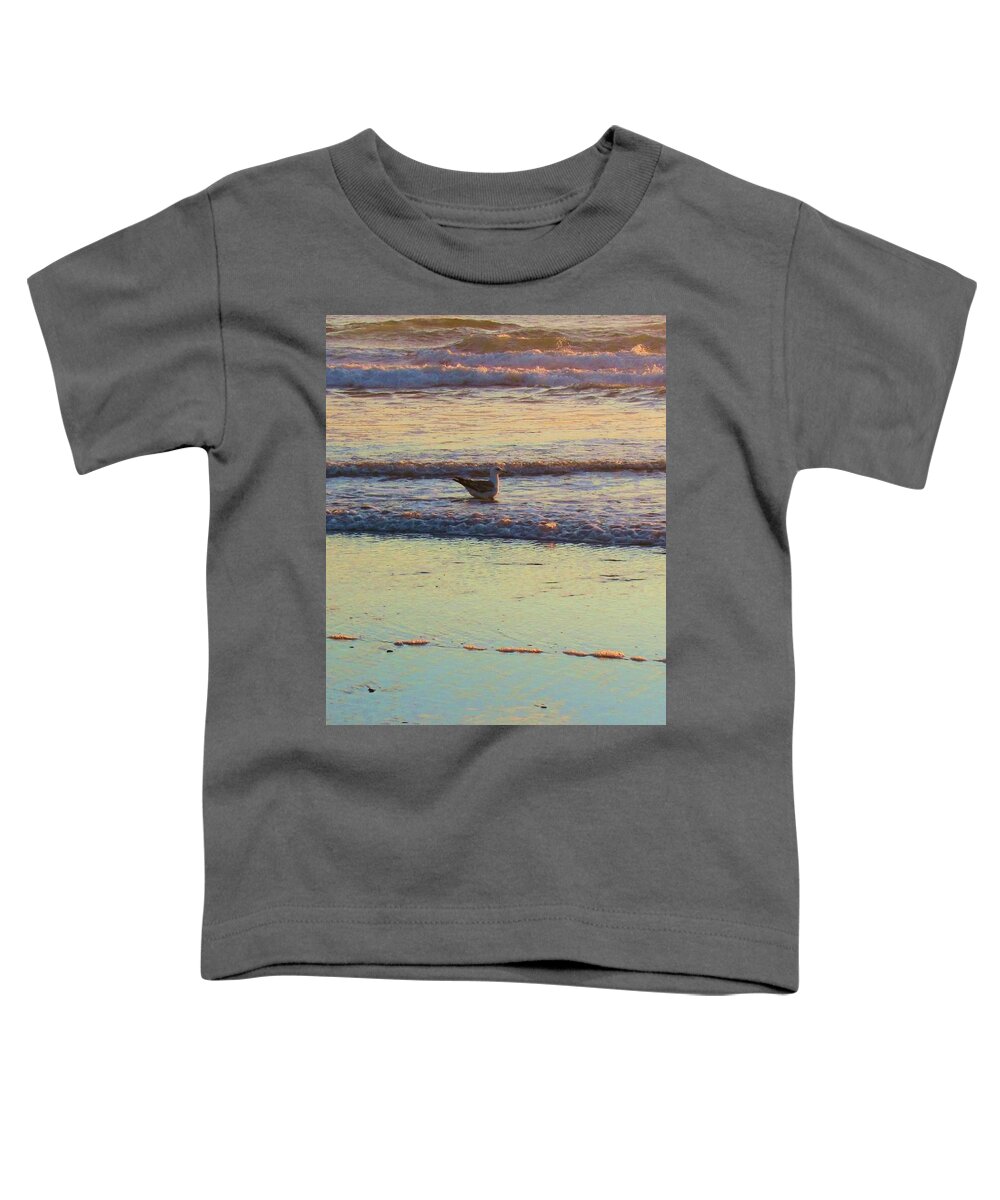 Beach Toddler T-Shirt featuring the photograph The Golden Hour by Deahn Benware