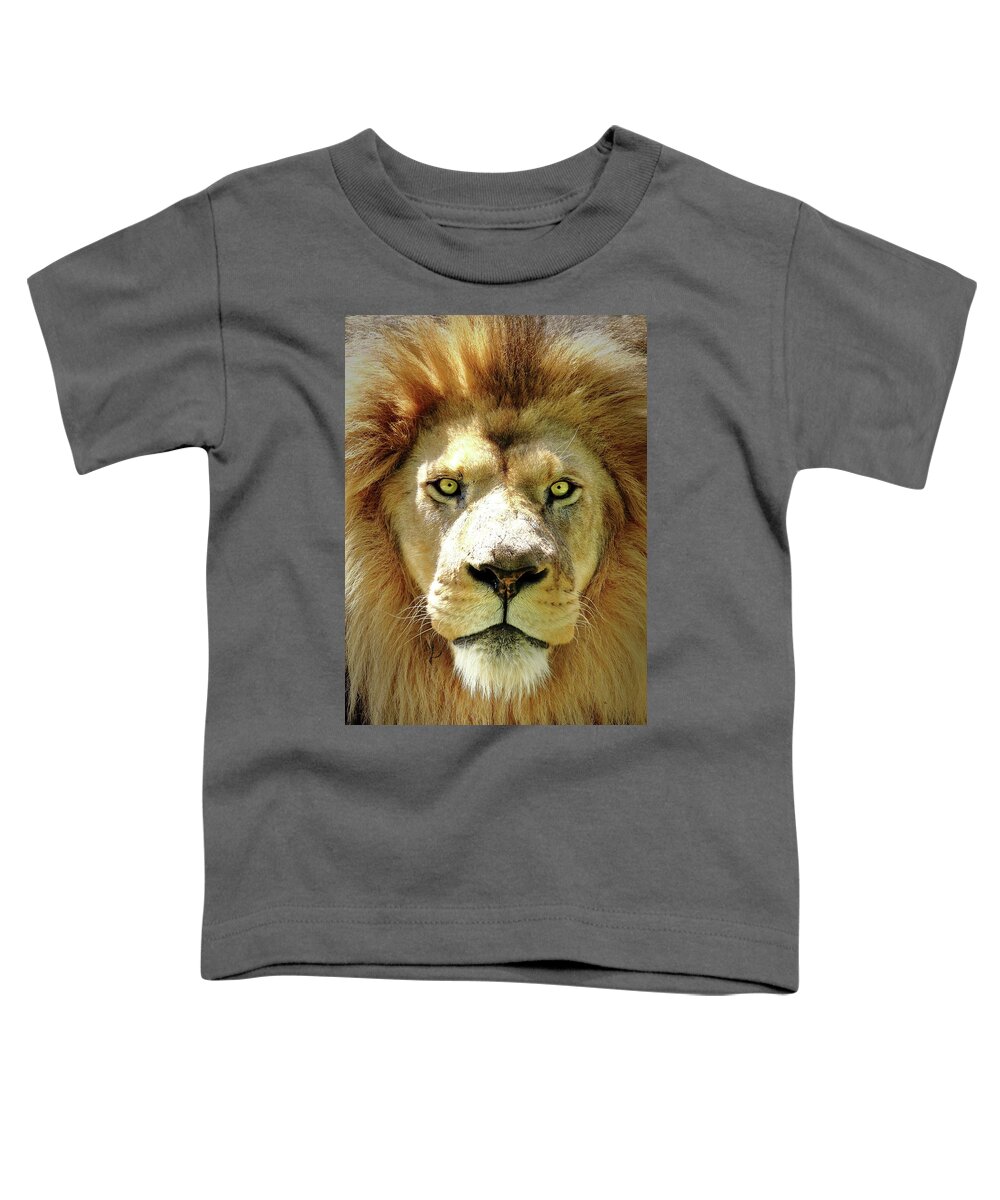 Lion Toddler T-Shirt featuring the photograph The King by Lens Art Photography By Larry Trager