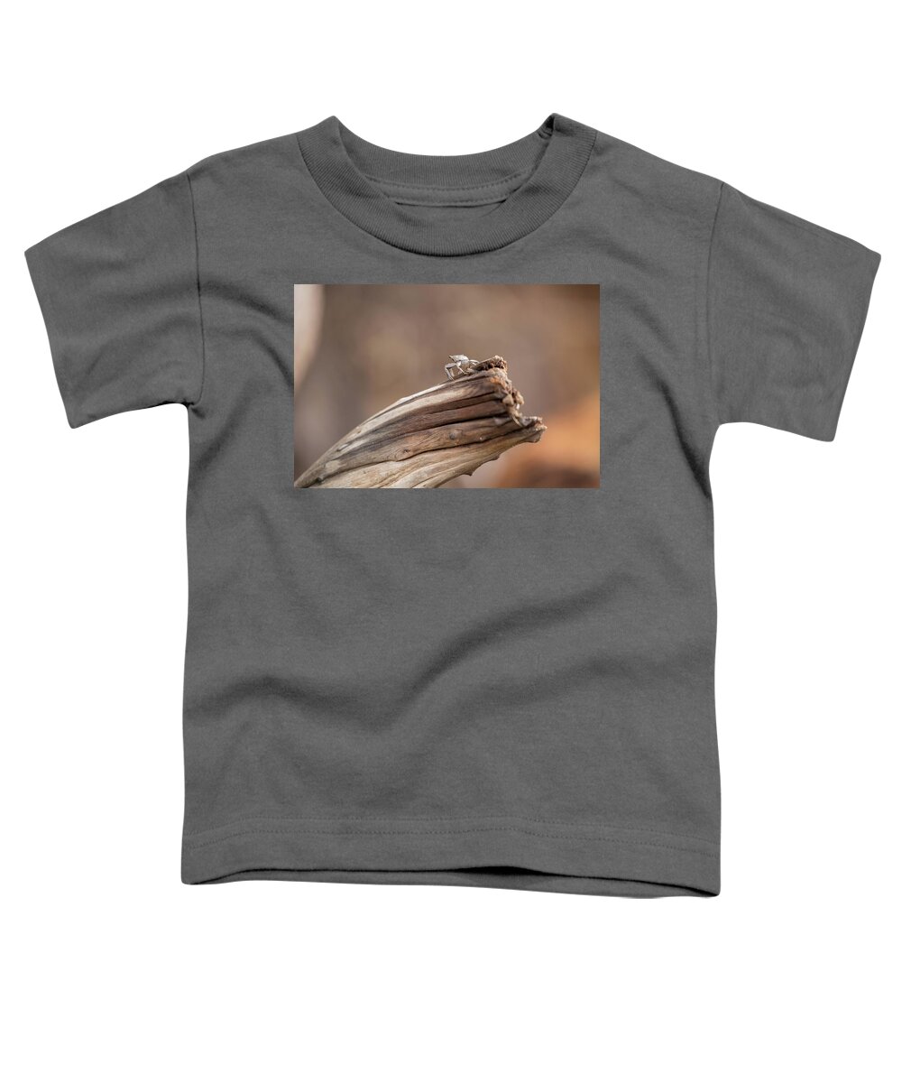 Crab Toddler T-Shirt featuring the photograph The Lone Crab by Jessica Brown