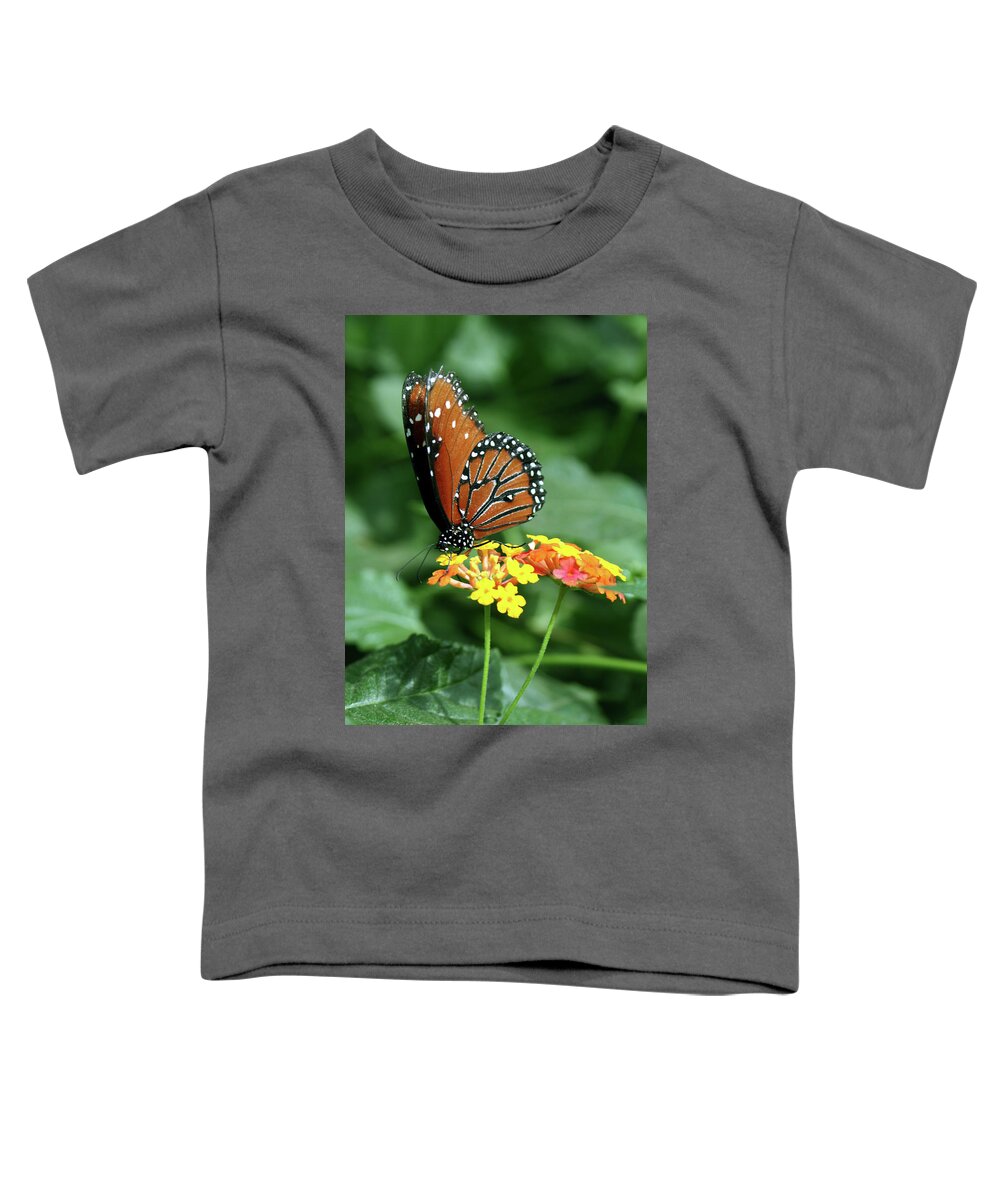 Insect Toddler T-Shirt featuring the photograph The Monarch by Jim Feldman