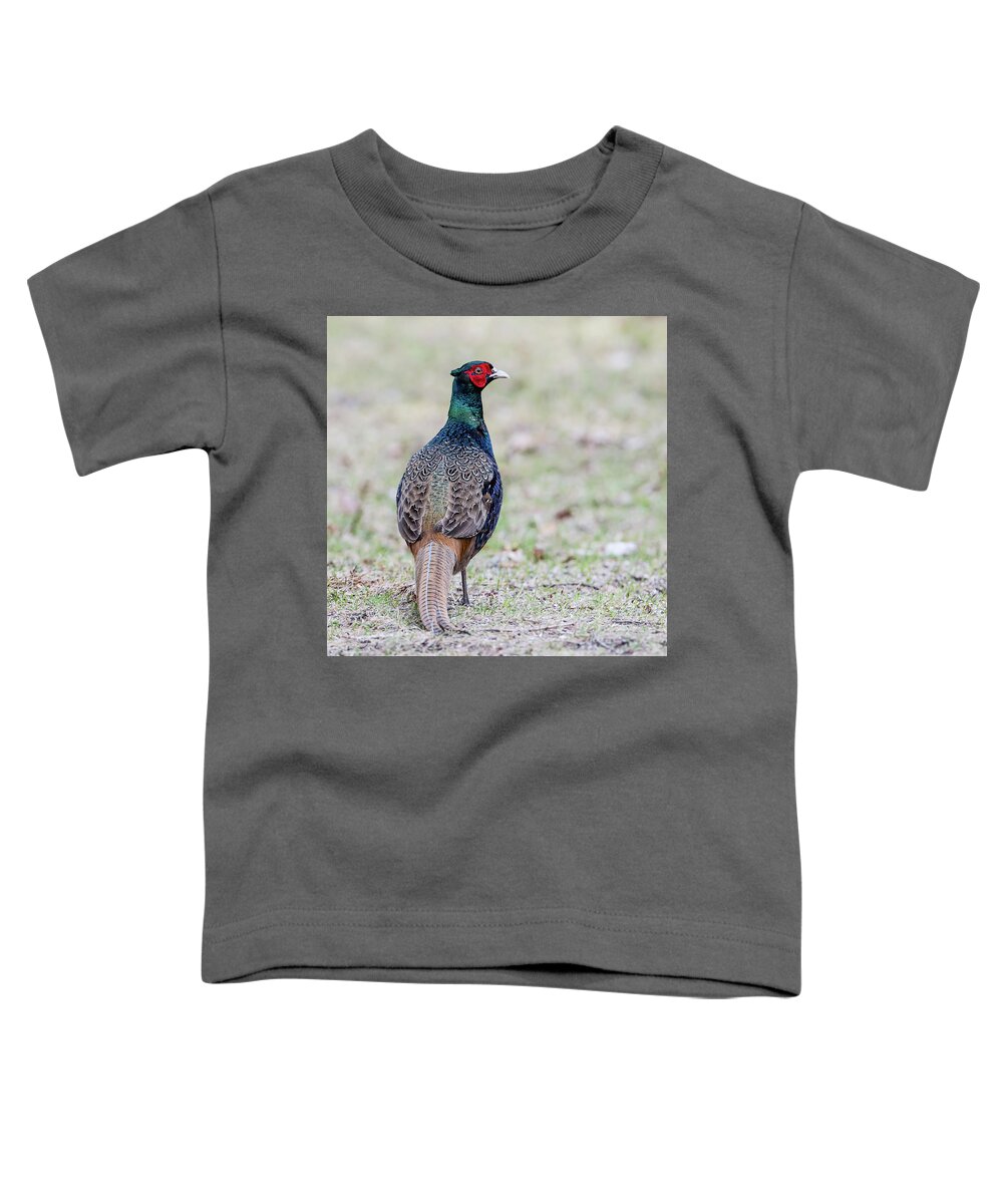 Pheasant Toddler T-Shirt featuring the photograph The Pheasant Beauty s back by Torbjorn Swenelius