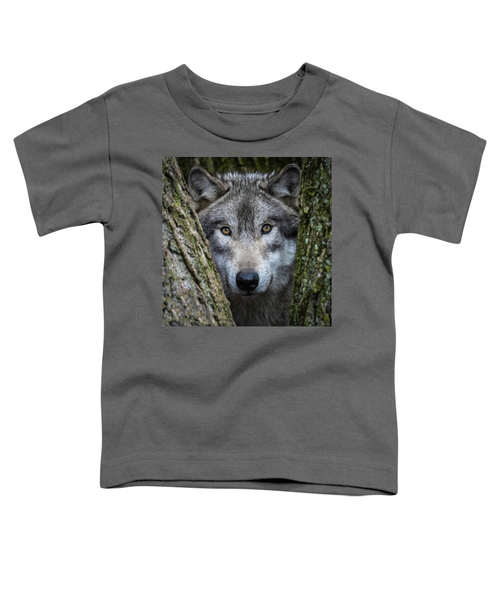 Wolf Toddler T-Shirt featuring the photograph The Stare by Laura Hedien