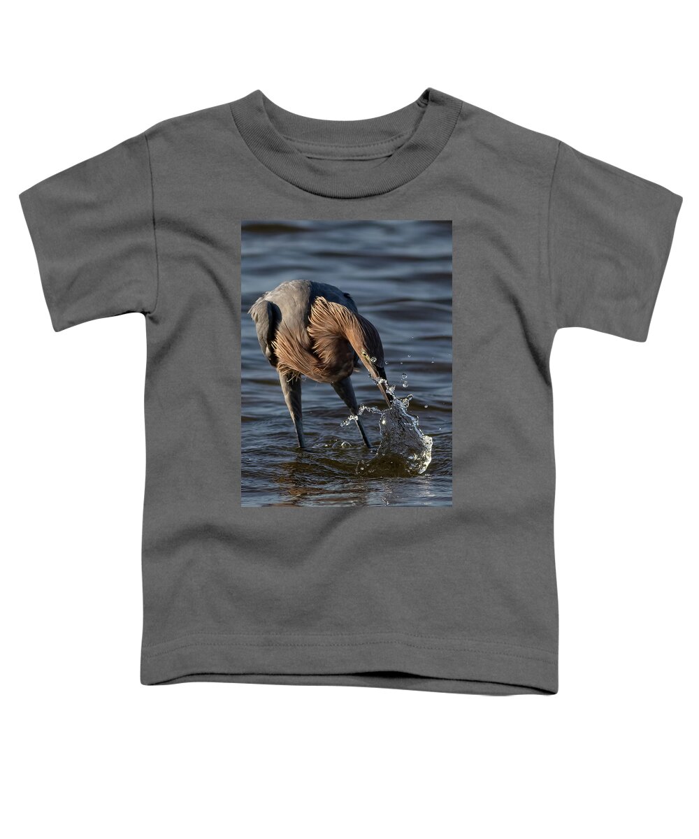 Reddish Egret Toddler T-Shirt featuring the photograph The Strike by RD Allen