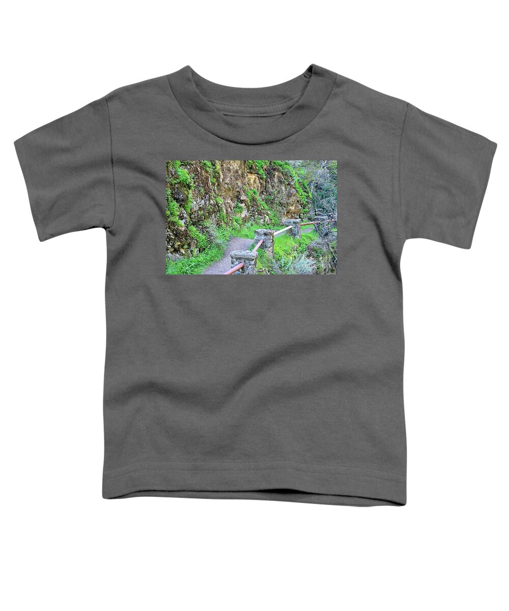 Path Toddler T-Shirt featuring the photograph The Trail Between the Rocks and the Creek by Martha Sherman