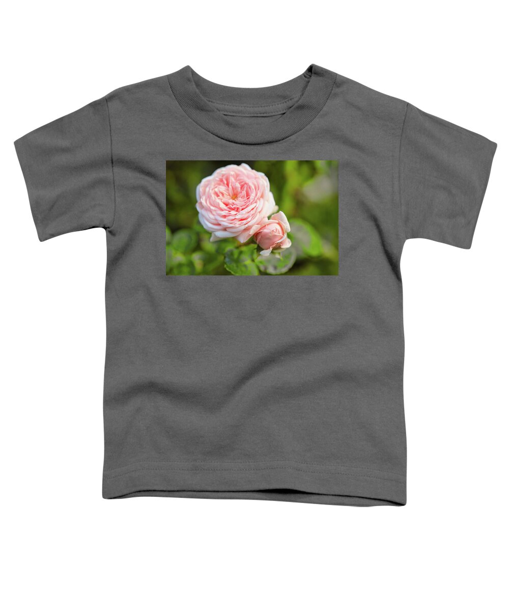 Pink Toddler T-Shirt featuring the photograph This Is Rose And Baby Bud by Scott Burd