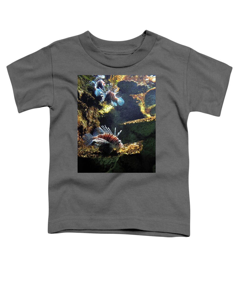 Fish Toddler T-Shirt featuring the photograph Three Lion Fish Swimming by Flees Photos