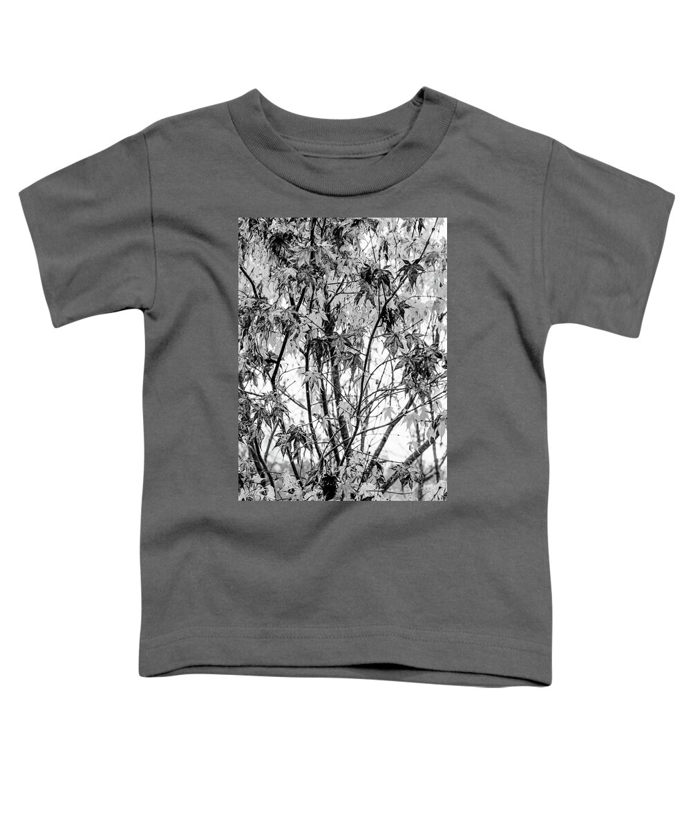 Carolina Toddler T-Shirt featuring the photograph Through the Autumn Leaves Black and White by Debra and Dave Vanderlaan