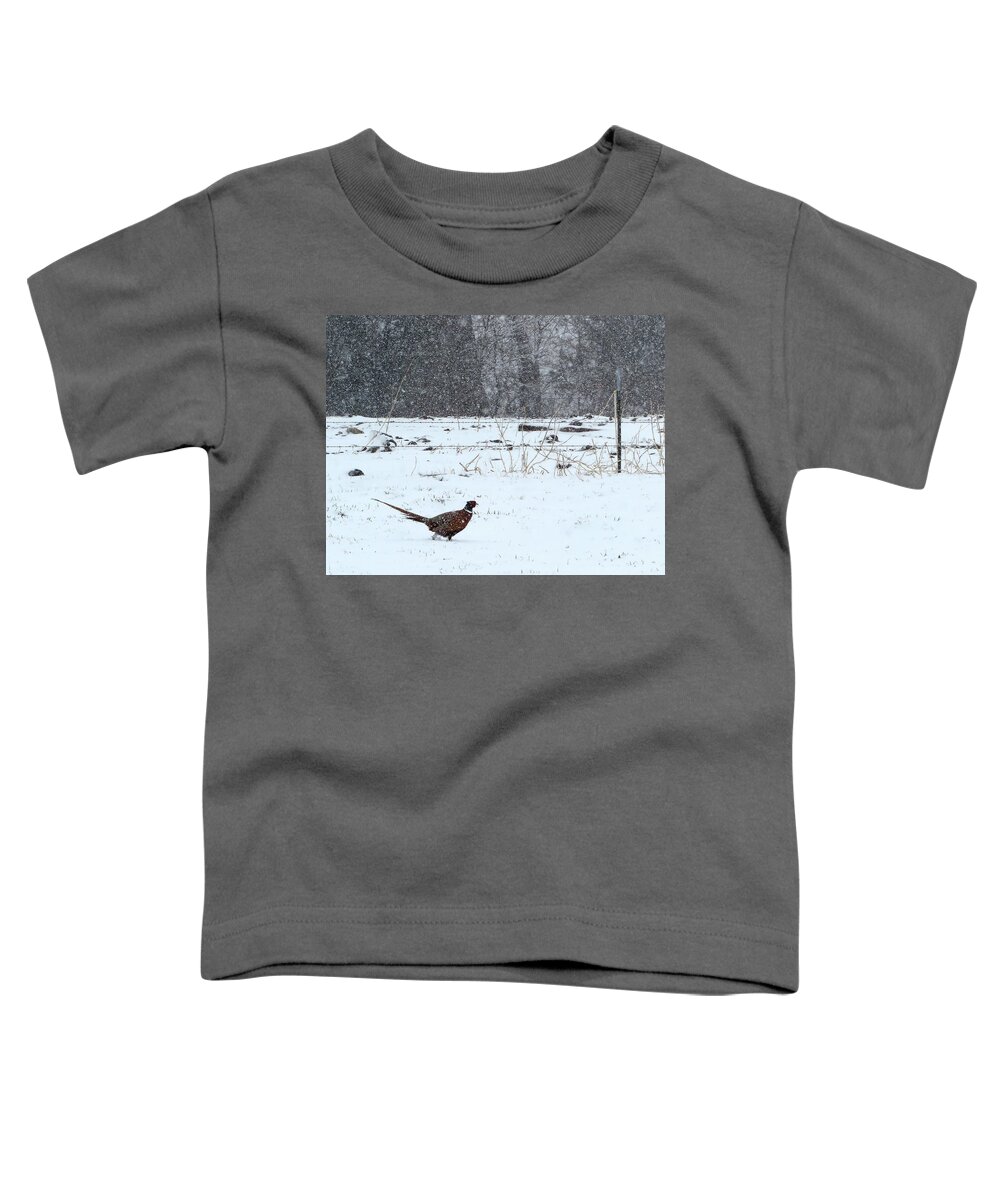 Pheasant Toddler T-Shirt featuring the photograph Through the Storm. by Katie Keenan