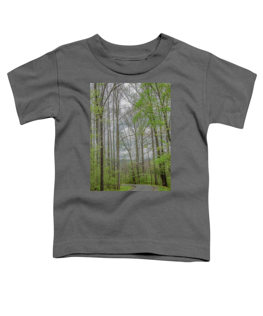 Great Smoky Mountains National Park Toddler T-Shirt featuring the photograph Through the Woods in Springtime by Marcy Wielfaert