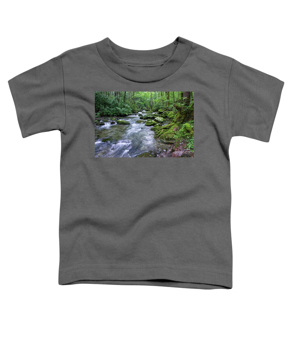Smoky Mountains Toddler T-Shirt featuring the photograph Thunderhead Prong 15 by Phil Perkins