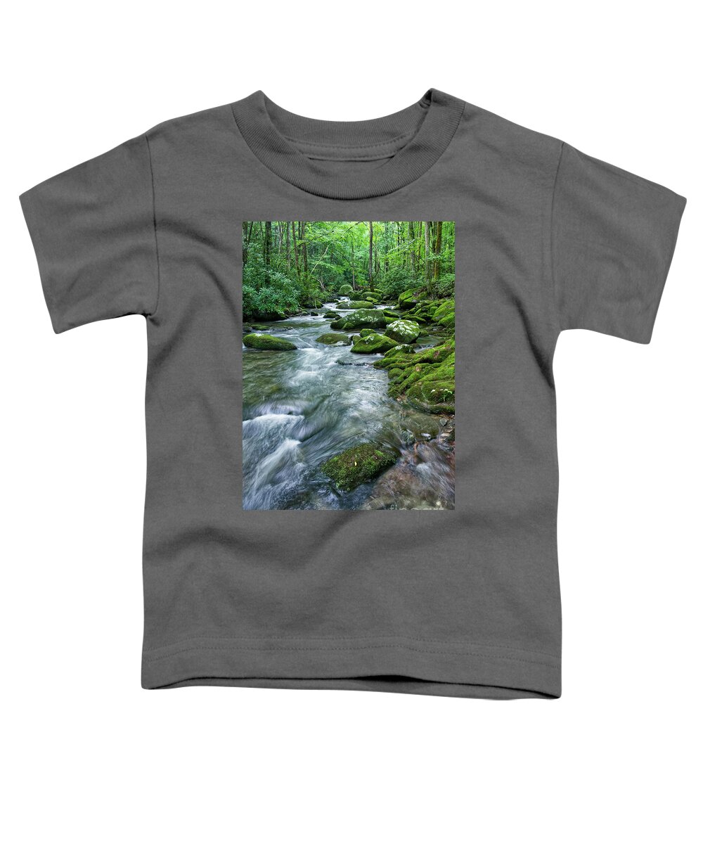 Smoky Mountains Toddler T-Shirt featuring the photograph Thunderhead Prong 19 by Phil Perkins