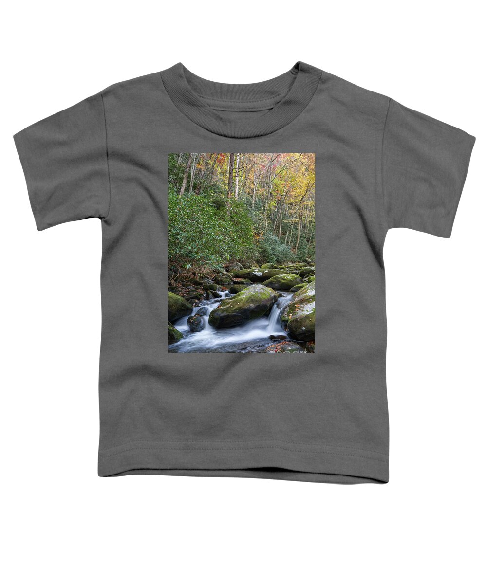 Smoky Mountains Toddler T-Shirt featuring the photograph Thunderhead Prong 27 by Phil Perkins