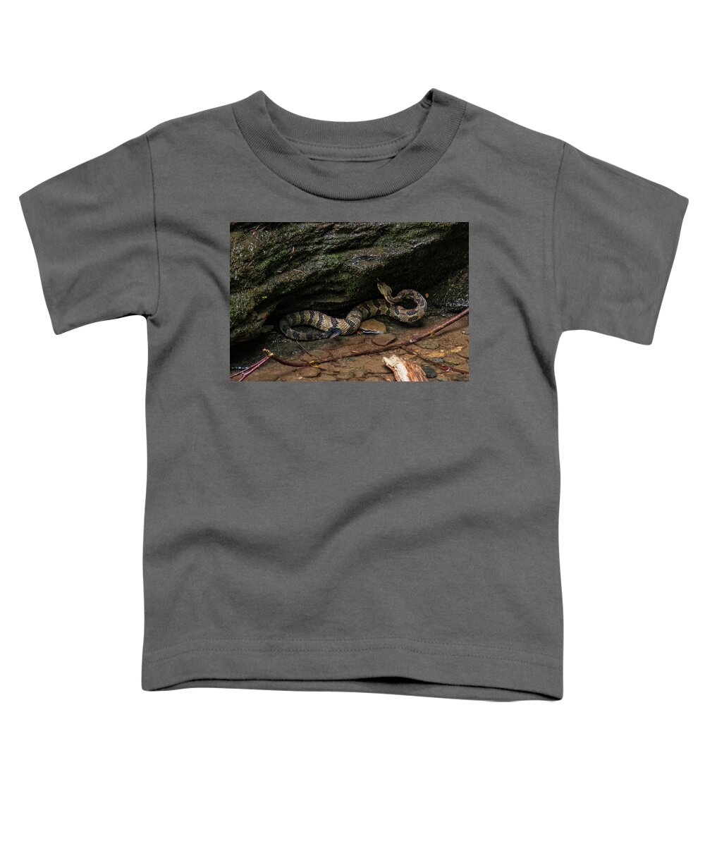 Brevard Toddler T-Shirt featuring the photograph Timber Rattler by Melissa Southern