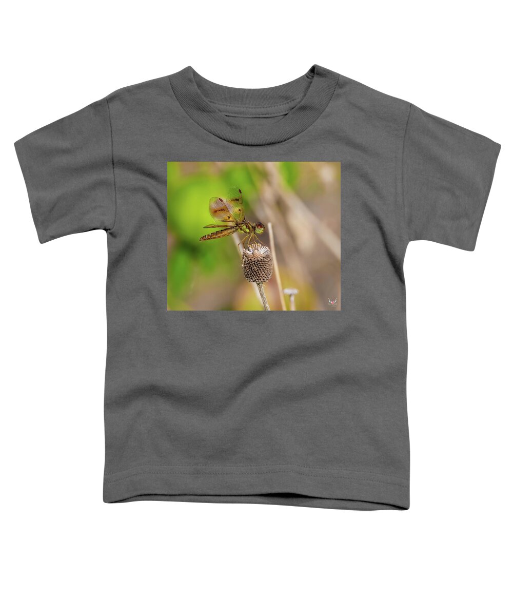 Easternamberwing Toddler T-Shirt featuring the photograph Tiny Dancer by Pam Rendall