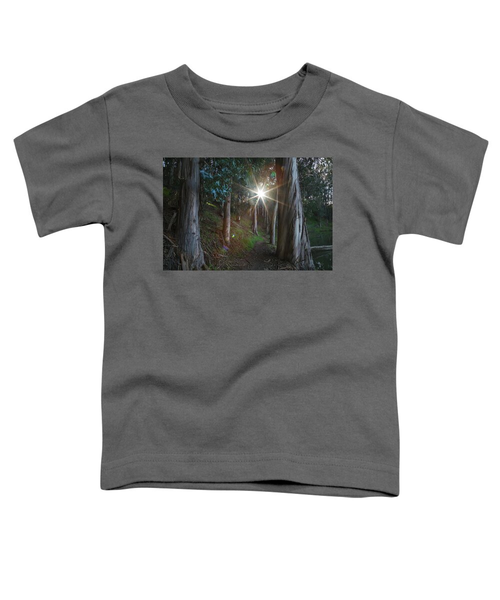 Don Castro Regional Park Toddler T-Shirt featuring the photograph Towards the Light by Laurie Search