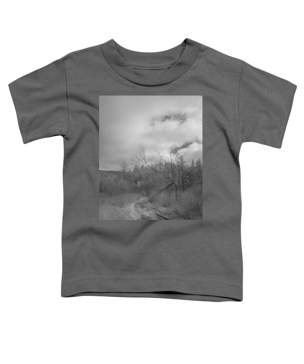 Infra Red Toddler T-Shirt featuring the photograph Trailhead Tree by Alan Norsworthy
